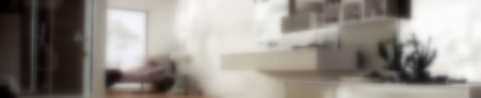 Banner-header